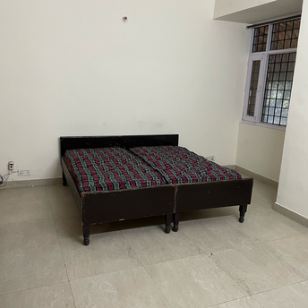 1 BHK Apartment For Rent in RWA Apartments Sector 29 Sector 29 Noida 6265881