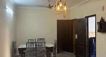1 BHK Apartment For Rent in Kharar Landran Road Mohali 6265143