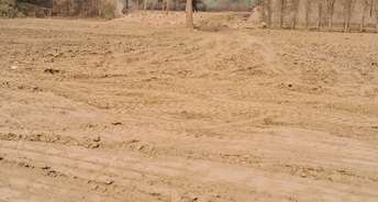 Commercial Industrial Plot 3563 Sq.Yd. For Resale In Sikri Faridabad 6265175