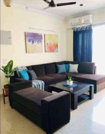 1 BHK Apartment For Rent in Ramky Towers Gachibowli Gachibowli Hyderabad 6265251