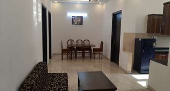 1 RK Builder Floor For Rent in Sector 49 Noida 6266684