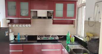 2 BHK Apartment For Rent in R Euphoria Apartments Kondhwa Pune 6266939