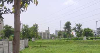  Plot For Resale in BPTP District Sector 81 Faridabad 6267524
