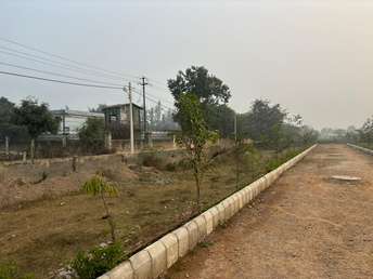  Plot For Resale in Yex Sector 25 Greater Noida 6267687