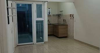 2 BHK Apartment For Rent in Gaur City 2   14th Avenue Noida Ext Sector 16c Greater Noida 6268208