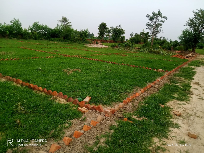 Plot For Resale in Sohna Gurgaon  6268741