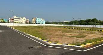  Plot For Resale in Sector 62 Faridabad 6269026