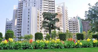 3 BHK Apartment For Rent in Parsvnath Exotica Sector 53 Gurgaon 6269271