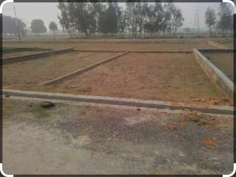  Plot For Resale in Sector 52 Gurgaon 6269438