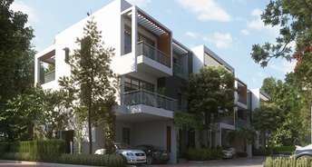 3 BHK Apartment For Rent in Bestech Park View City 2 Sector 49 Gurgaon 6269672