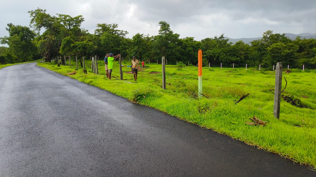 Plot For Resale in Mangaon Raigad  6269757