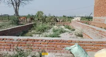  Plot For Resale in Sector 16 Faridabad 6269889