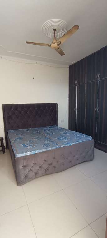 1 BHK Apartment For Rent in Kharar Banur Highway Mohali 6270010
