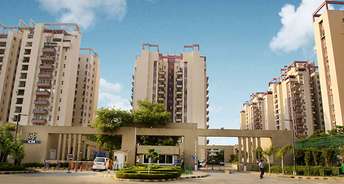 2 BHK Apartment For Rent in Orchid Petals Sector 49 Gurgaon 6270528
