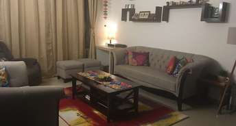3 BHK Apartment For Rent in Vipul Greens Sector 48 Gurgaon 6270888