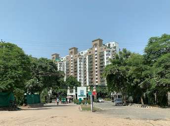 4 BHK Apartment For Rent in Vipul Greens Sector 48 Gurgaon 6271222