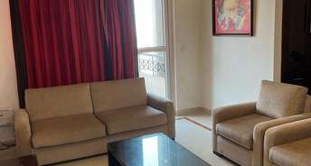 2 BHK Apartment For Rent in Unitech Palms South City 1 Gurgaon 6271218