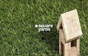  Plot For Resale in Sector 7 Sonipat 6271953