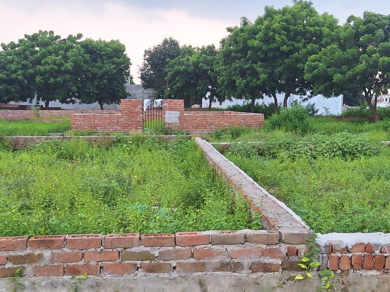 Plot For Resale in Gomti Nagar Lucknow  6272052