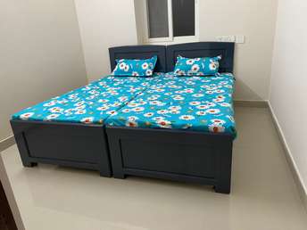 2 BHK Apartment For Rent in Hyderguda Hyderabad 6272415
