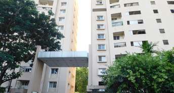 3 BHK Apartment For Resale in Vanaraji Heights Kothrud Pune 6272956