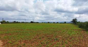 Commercial Land 50 Acre For Resale In Arcot Vellore 6273629