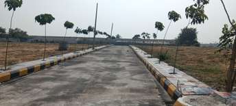  Plot For Resale in Abids Hyderabad 6274150