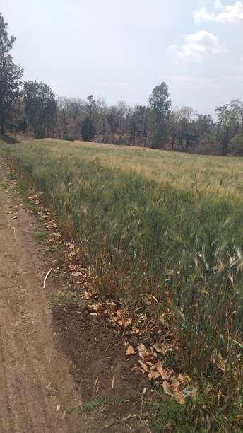 Commercial Land 8 Acre For Resale In Sehore Sehore 6274198