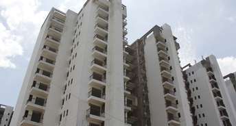 4 BHK Apartment For Resale in NK Sharma Savitry Greens Lohgarh Zirakpur 6274283