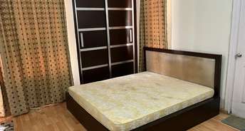 2 BHK Apartment For Rent in Unitech Palms South City 1 Gurgaon 6274409