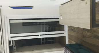 1 RK Apartment For Rent in Urbtech Xaviers Sector 168 Noida 6274437
