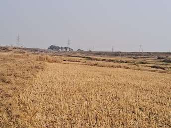 Commercial Land 10 Acre For Resale In Tundhul Ranchi 6274688