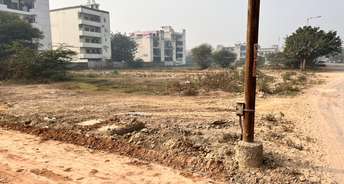  Plot For Resale in Sector 75 Faridabad 6275310