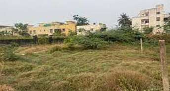  Plot For Resale in Sector 11 Panchkula 6275409