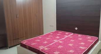 2 BHK Apartment For Rent in KharaR Kurali Highway Mohali 6276341