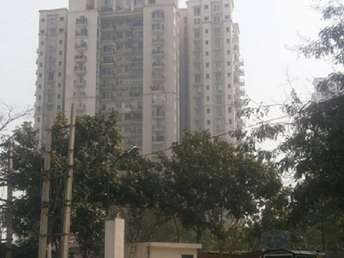 3 BHK Apartment For Rent in DLF Regency Park II Sector 27 Gurgaon 6276413
