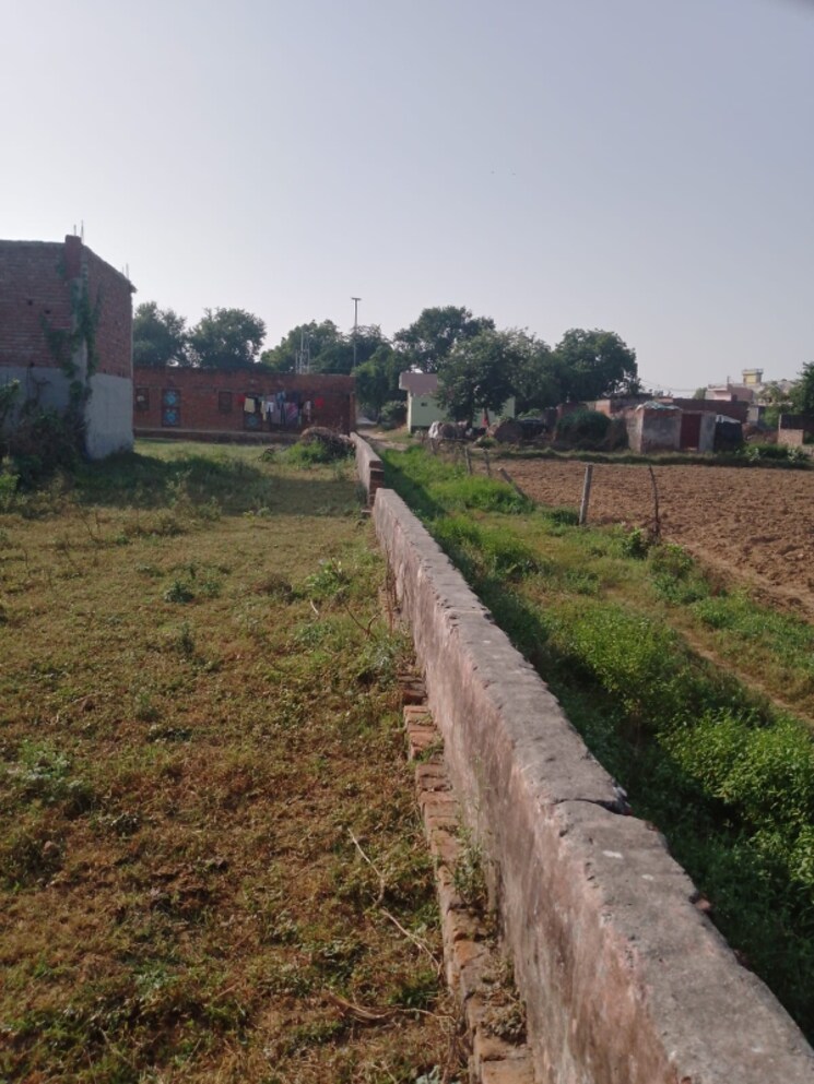 undefined, sikandrabad  300 Sq.Yd. Plot In Sikandrabad Bulandshahr 6277320