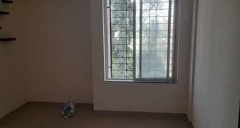 1 BHK Apartment For Resale in Maan Pune 6277363