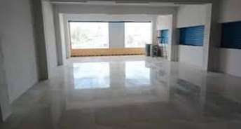 Commercial Showroom 300 Sq.Yd. For Resale In Sector 12 Panchkula Panchkula 6277444