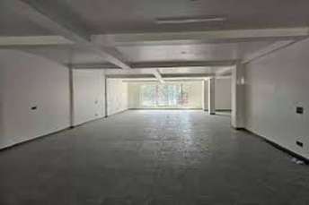 Commercial Showroom 150 Sq.Yd. For Rent In Sector 20 Panchkula 6277477