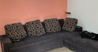 1 BHK Apartment For Rent in AVL 36 Gurgaon Sector 36 Gurgaon 6277557
