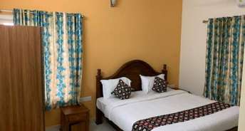 1 BHK Apartment For Rent in Ramky Towers Gachibowli Gachibowli Hyderabad 6277896