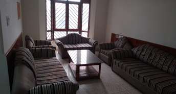 3 BHK Apartment For Rent in Sector 21c Faridabad 6278674