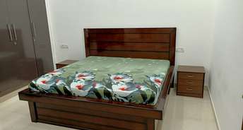 3 BHK Villa For Rent in Babarpur Panipat 6278724