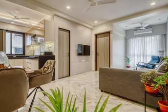 1 BHK Apartment For Rent in Bandra West Mumbai 6278927