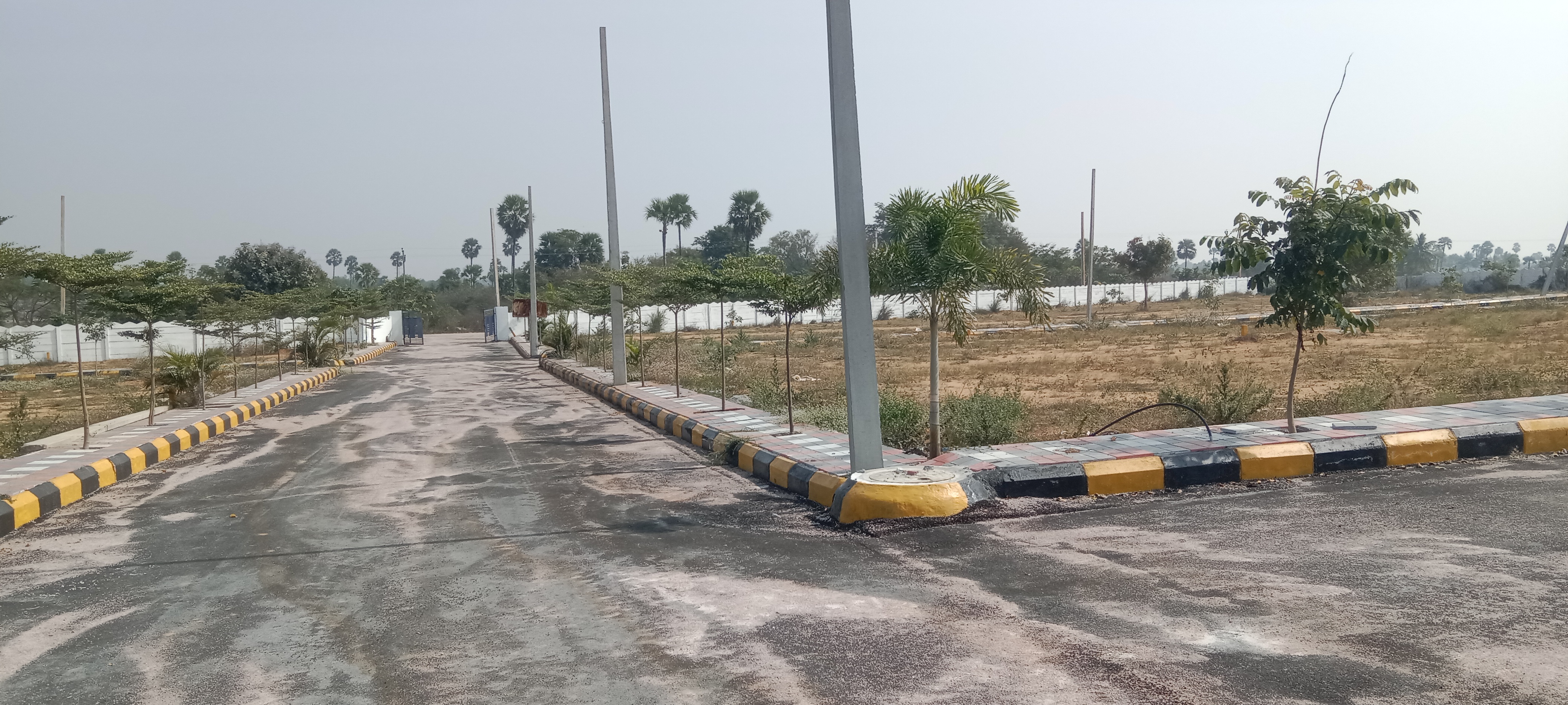 Plot For Resale in Boduppal Hyderabad  6279055