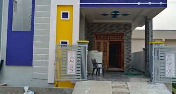 4 BHK Independent House For Resale in Muthangi Hyderabad 6279228