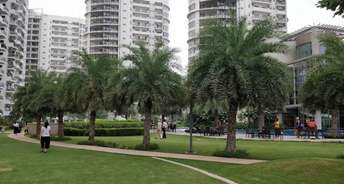 3 BHK Apartment For Rent in Emaar The Palm Drive The Sky Terraces Sector 66 Gurgaon 6279348