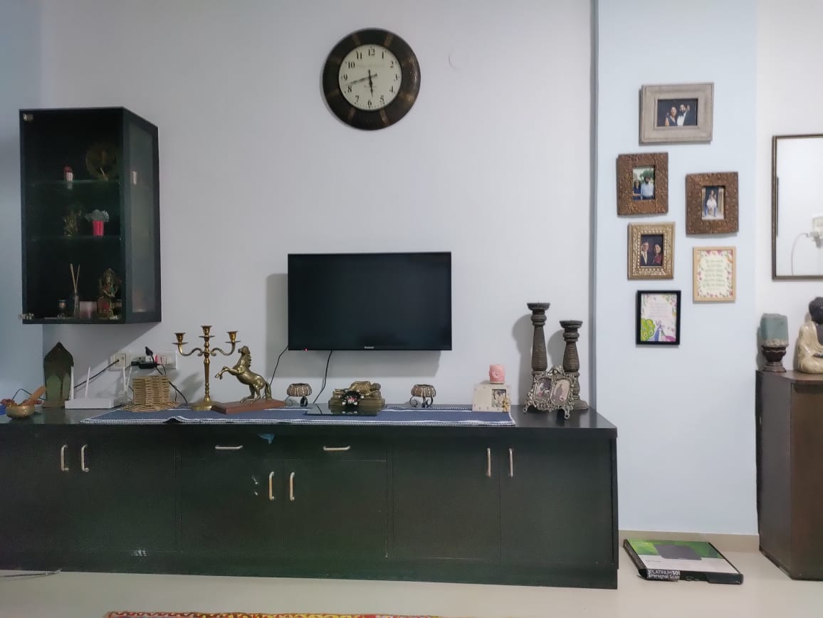 1 BHK Apartment For Rent in Salunke Vihar