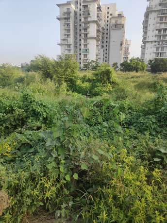  Plot For Resale in Sector 7 Sonipat 6280290